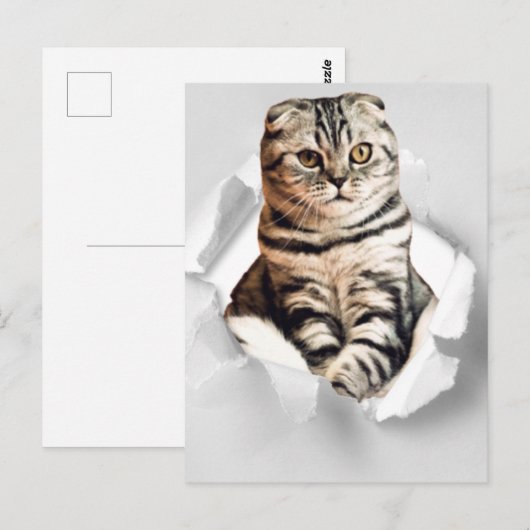 Grappige 3d grafische kat gescheurd papier illusie briefkaart (Voorkant / Achterkant)
