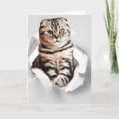 Grappige 3d grafische kat gescheurd papier illusie kaart (Voorkant)