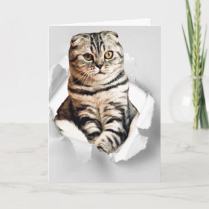 Grappige 3d grafische kat gescheurd papier illusie kaart