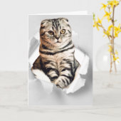 Grappige 3d grafische kat gescheurd papier illusie kaart (Gele Bloem)
