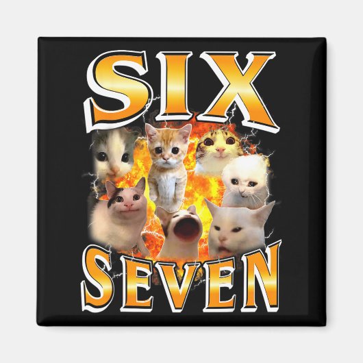 Grappige 67 Meme Zes Zeven Kat Meme Grappige Bootl Magneet (Voorkant)