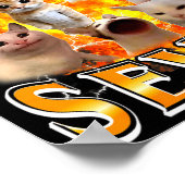 Grappige 67 Meme Zes Zeven Kat Meme Grappige Bootl Poster (Hoek)