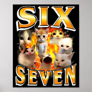 Grappige 67 Meme Zes Zeven Kat Meme Grappige Bootl Poster