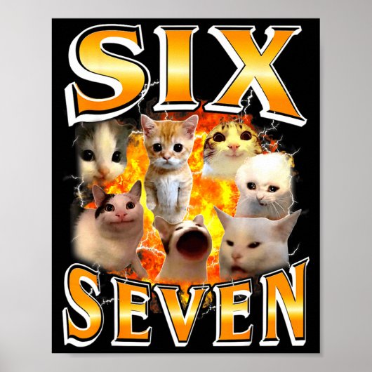 Grappige 67 Meme Zes Zeven Kat Meme Grappige Bootl Poster (Voorkant)