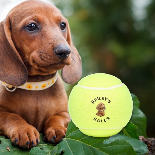 Grappige aangepaste hond foto tennisballen