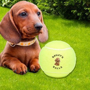 Grappige aangepaste hond foto tennisballen