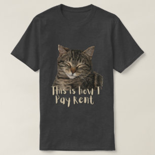 Grappige aangepaste knuffelkat, zo betaal ik de hu t-shirt