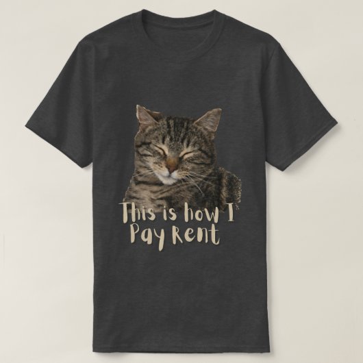 Grappige aangepaste knuffelkat, zo betaal ik de hu t-shirt (Design voorkant)