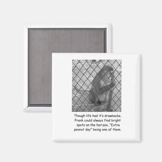 Grappige aap aanmoediging magneet (Voorkant / Achterkant)