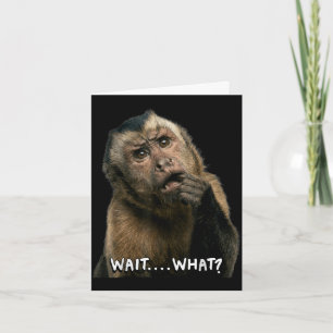 Grappige aap straattaal citaat wacht wat meme scha kaart