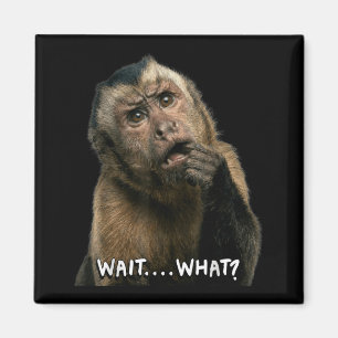 Grappige aap straattaal citaat wacht wat meme scha magneet