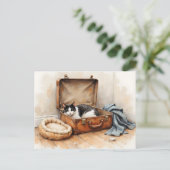 Grappige adreswijziging van zwarte en witte kat briefkaart (Staand voorkant)
