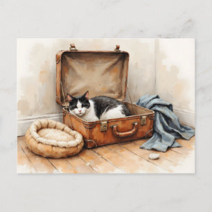 Grappige adreswijziging van zwarte en witte kat briefkaart