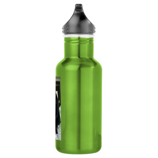 Grappige afgelegen kat water fles appel (Rechts)