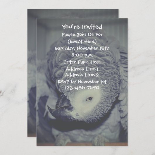 Grappige Afrikaanse grijze papegaai partij Kaart (Voorkant / Achterkant)