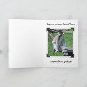 Grappige Afstuderen, de Escapist van de Kaart (Binnen)