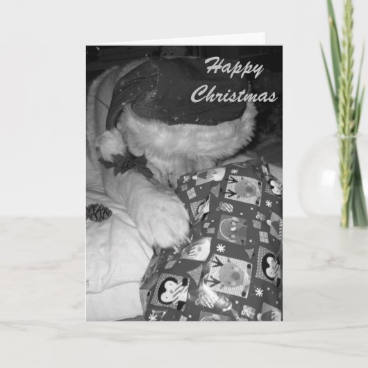 grappige akitahond met Kerstmis van de Feestdagen Kaart (Voorkant)