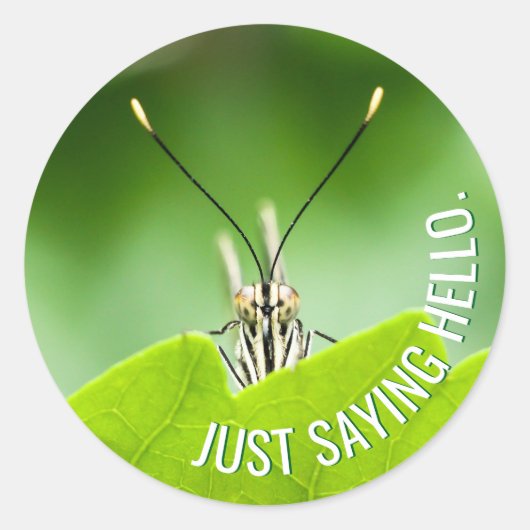 Grappige All-Occasion Dierlijke Vlinder Sticker (Voorkant)