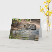 Grappige Alligator Kat Slap Kaart (Gele Bloem)
