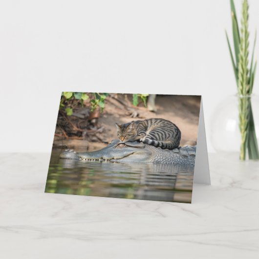 Grappige Alligator Kat Slap Kaart (Voorkant)