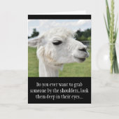 Grappige Alpaca Llama foto met grappen Kaart (Voorkant)