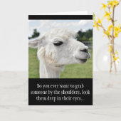 Grappige Alpaca Llama foto met grappen Kaart (Gele Bloem)