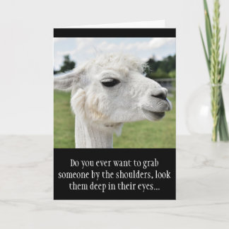 Grappige Alpaca Llama foto met grappen Kaart