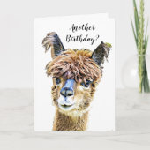 Grappige Alpaca Llama Humor verjaardag Kaart (Voorkant)
