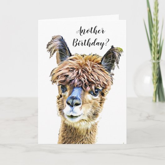 Grappige Alpaca Llama Humor verjaardag Kaart (Voorkant)