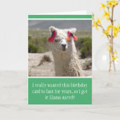 Grappige Alpaca Llama verjaardag Kaart (Gele Bloem)
