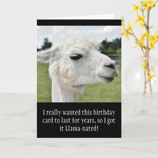 Grappige Alpaca Llama verjaardag Kaart (Gele Bloem)