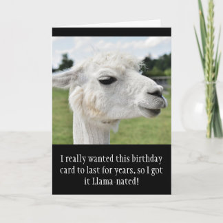 Grappige Alpaca Llama verjaardag Kaart