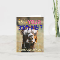 Grappige Alpaca Verjaardag Kaart - Animal Pun Humo