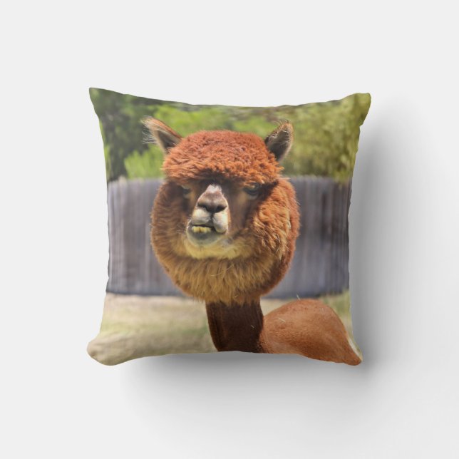 Grappige Alpaca Worp Kussen (Voorkant)