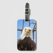 Grappige Amerikaanse kale arend gezicht wildlife f Bagagelabel (Voorkant (verticaal))