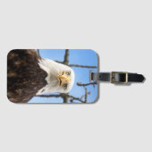 Grappige Amerikaanse kale arend gezicht wildlife f Bagagelabel (Voorkant (horizontaal))