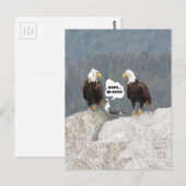 Grappige Arenden en Meeuw Briefkaart (Voorkant / Achterkant)