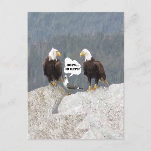 Grappige Arenden en Meeuw Briefkaart (Voorkant)