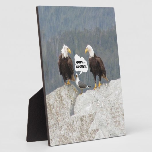 Grappige Arenden en Zeemeeuw Fotoplaat (Zijkant)