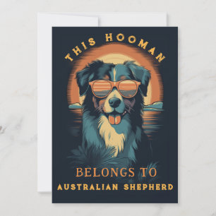 Grappige Australische Herder Hond Ouder Gepersonal Aankondiging