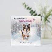 Grappige Australische Herdershond in de Sneeuw Feestdagenkaart (Staand voorkant)