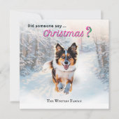 Grappige Australische Herdershond in de Sneeuw Feestdagenkaart (Voorkant)
