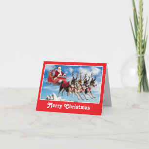 Grappige Australische Herdershond Kerstkaart Feestdagen Kaart