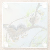 Grappige Baby uilen op een ledemaat Glazen Onderzetter (Achterkant)