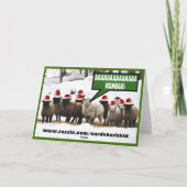 Grappige Bah Humbug Feestdagen Kaart (Achterkant)