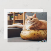 Grappige bank aardappel kat briefkaart (Voorkant / Achterkant)