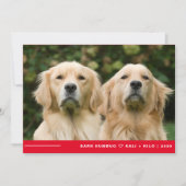 Grappige Bark Humbug Hond Foto Kerstmis Gepersonal Feestdagenkaart (Voorkant)