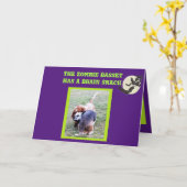 Grappige Basset Hound Zombie Halloween Kaart (Gele Bloem)