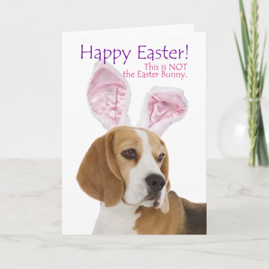 Grappige Beagle Easter Kaart (Voorkant)