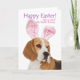 Grappige Beagle Easter Kaart